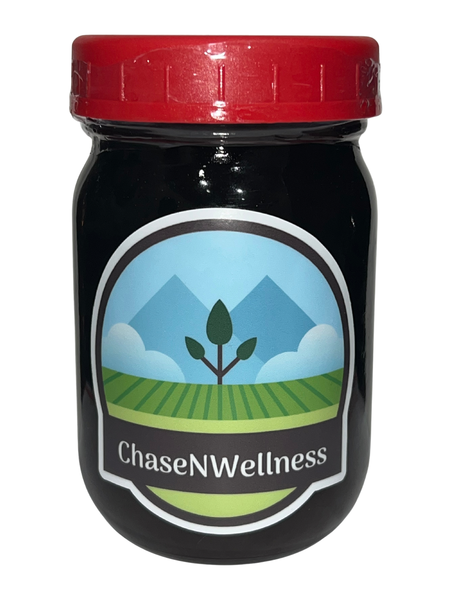 Elderberry Healing Syrup (4.oz)