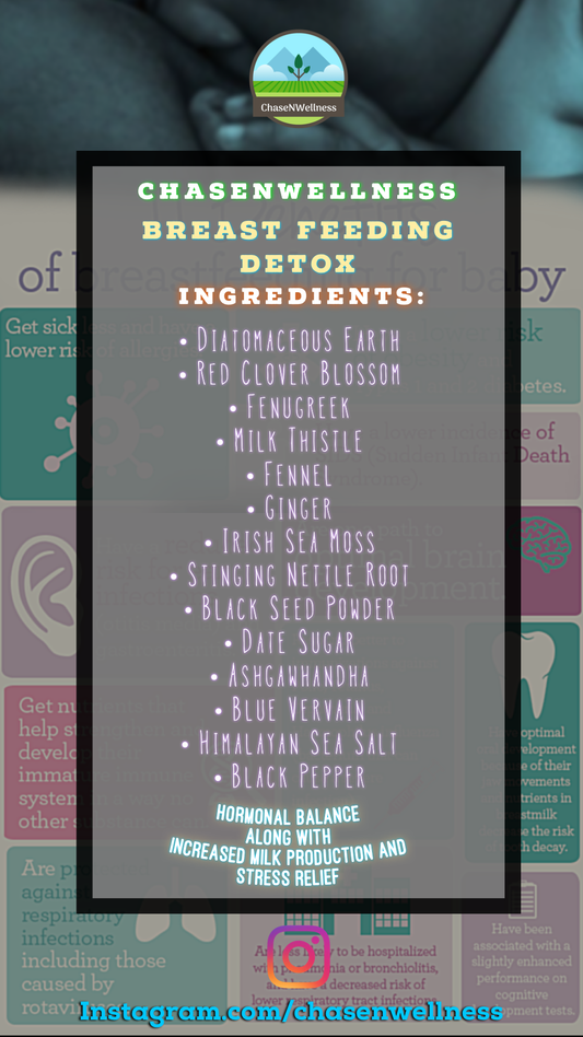 Breastfeeding Supplement (Vegan capsules 2 week supply)