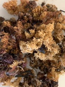 Raw Irish Sea Moss *Chondus Crispus* 2.oz