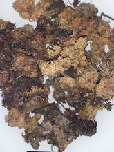 Load image into Gallery viewer, Raw Irish Sea Moss *Chondus Crispus* 2.oz